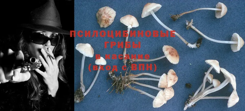 цены наркотик  Полярный  Галлюциногенные грибы Psilocybine cubensis 